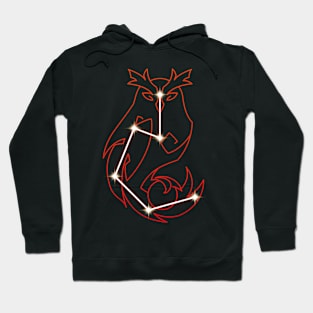 Noctua Constellation Hoodie